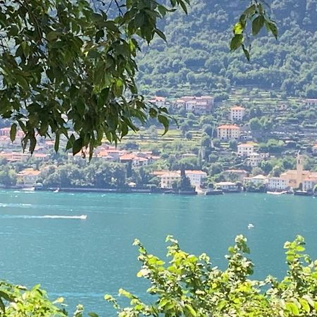 Apartment Casa Dono Il Lago Pognana Lario Extérieur photo
