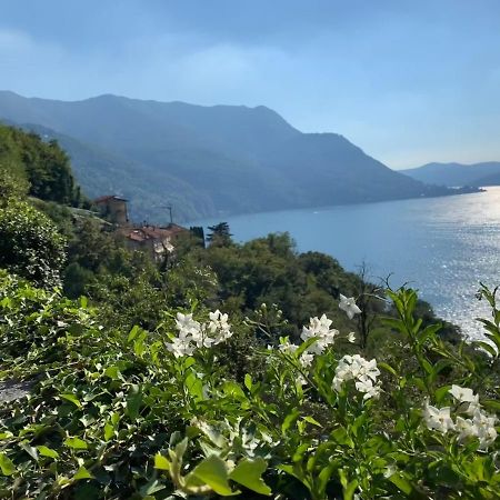 Apartment Casa Dono Il Lago Pognana Lario Extérieur photo