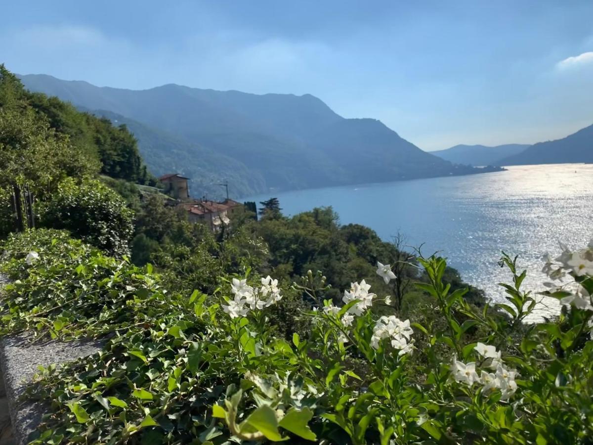 Apartment Casa Dono Il Lago Pognana Lario Extérieur photo