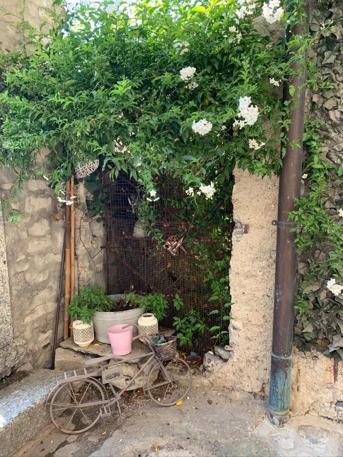 Apartment Casa Dono Il Lago Pognana Lario Extérieur photo